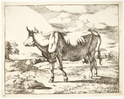 Stojící kráva obrácená doleva, – Nr. 1, Marcus de Bye
