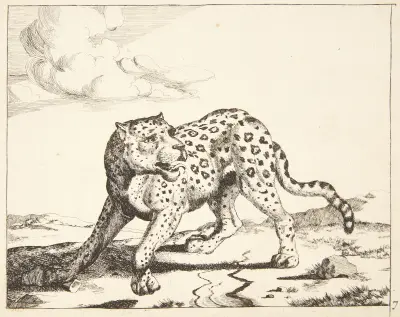 Stehender Leopard von Marcus de Bye