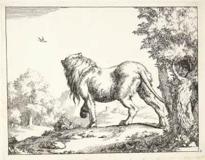 Stående løve, set bagfra, 1664 – nr 2 av Marcus de Bye