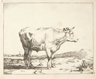 Stehende Studie nach rechts von Marcus de Bye