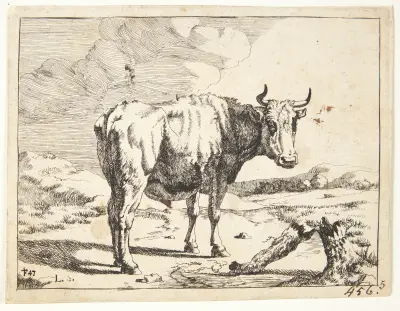 Stojící studie, Marcus de Bye