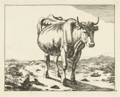 Stehende Kuh, 1657 von Marcus de Bye