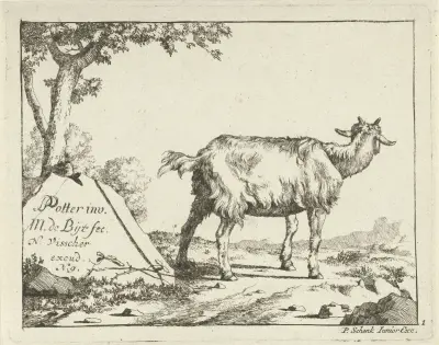 Stehende Ziege von hinten gesehen von Marcus de Bye