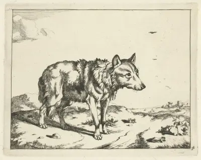 Stehender Wolf von Marcus de Bye
