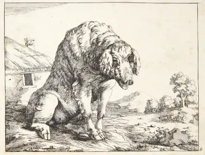 Große Sau von Marcus de Bye