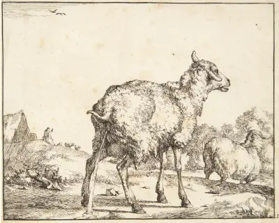 Pissende Ziege von Marcus de Bye