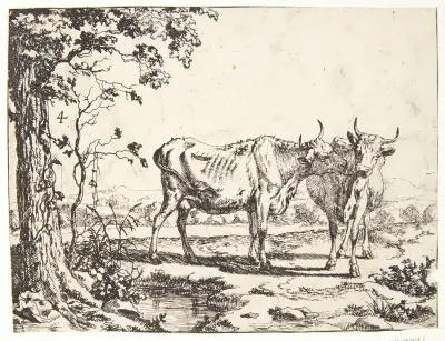 Dvě krávy – č. 2, Marcus de Bye