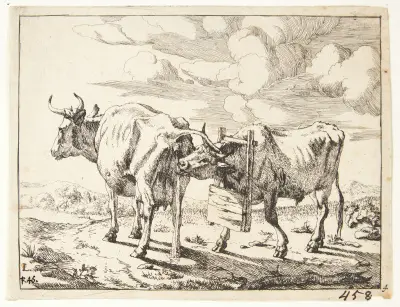 Zwei Kühe – Nr. 1 von Marcus de Bye