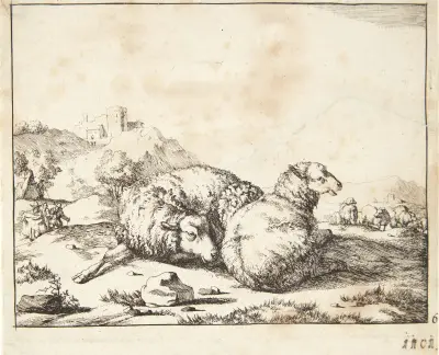 Zwei liegende Schafe, 1664 – Nr. 1 – Nr. 2 von Marcus de Bye