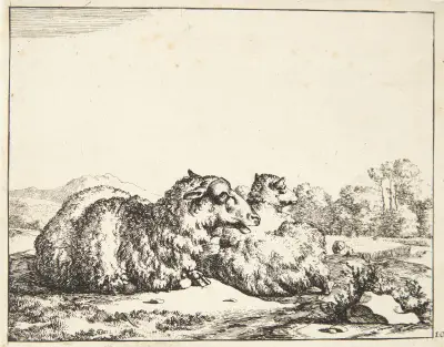 Zwei liegende Schafe, 1664 – Nr. 2 von Marcus de Bye