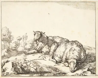 Zwei liegende Schafe, 1664 – Nr. 1 – Nr. 1 von Marcus de Bye
