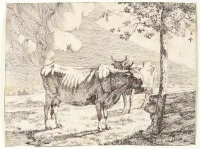 Zwei stehende Kühe von Marcus de Bye