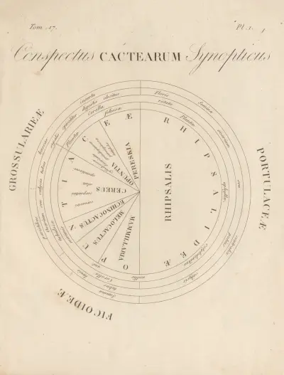 Conspectus Cactearum Synopticus av Augustin Pyramus de Candolle