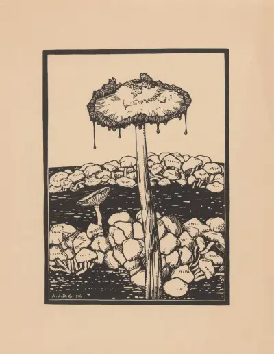 Tropfender Pilz, 1916 – Nr. 2 von Julie de Graag