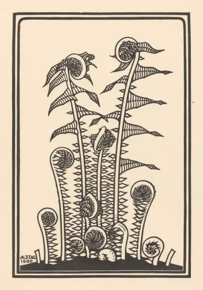 Ferns av Julie de Graag