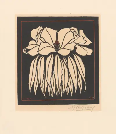 Godetia. von Julie de Graag