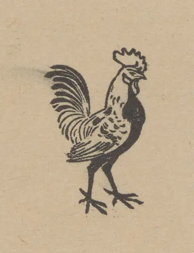 Hare av Julie de Graag