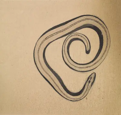 Hazelworm von Julie de Graag