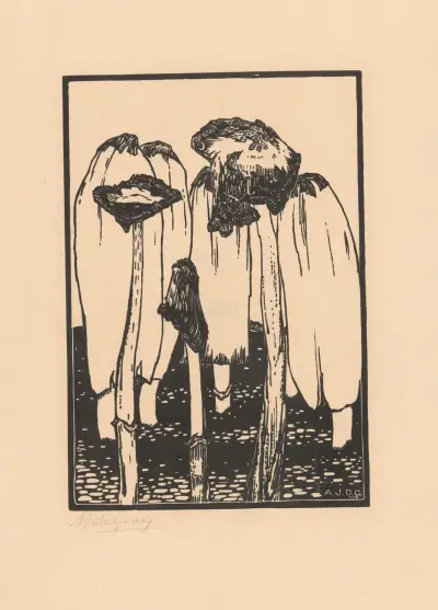 Inktzwammen von Julie de Graag