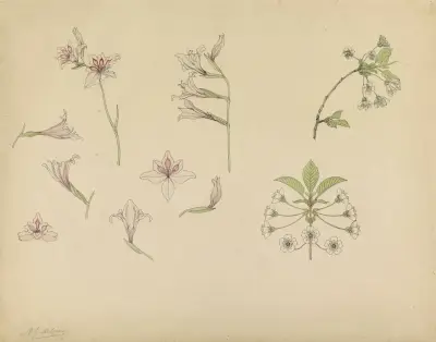 Studieblad med gladioler och äppelblom av Julie de Graag