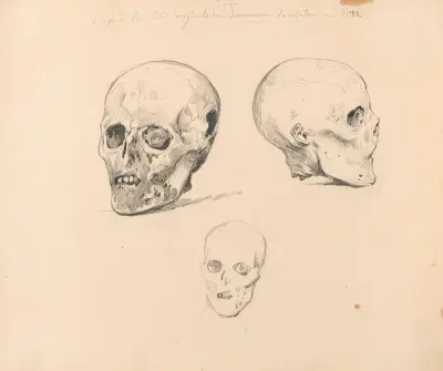 Tre studier av kraniet av Jacobean Antonio Timmerman från Dunkirk av Nicaise De Keyser