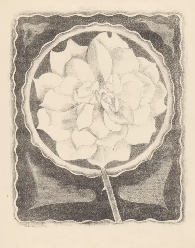 Roos (in cirkel, met golvende rand) av Samuel Jessurun de Mesquita