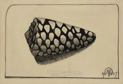 Schelp, naar rechts av Samuel Jessurun de Mesquita