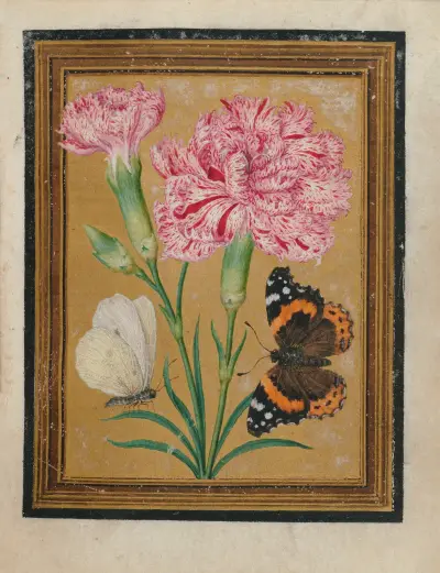 Paintings of Flowers, Butterflies, and Insects Pl.5 av Jacques Le Moyne de Morgues