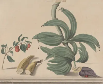 Natural history of Saint Domingue Pl.137 av René de Rabié