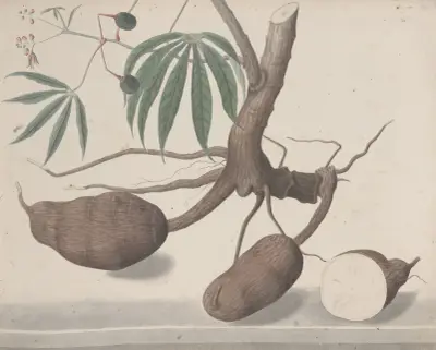Natural history of Saint Domingue Pl.147 av René de Rabié