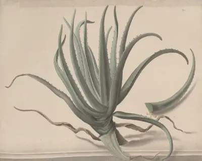 Natural history of Saint Domingue Pl.163 av René de Rabié