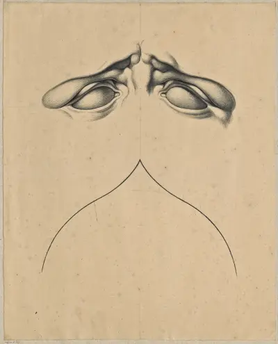 Analogy between frowning eyes (of Laocoon’s son) and a gothic arch av David Humbert de Superville