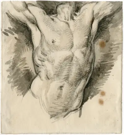 Torso av manlig nakenstudie av David Humbert de Superville