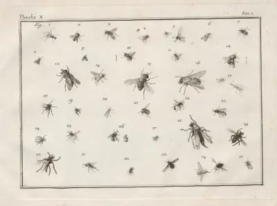 Nomenclator iconum entomologiæ Linneanæ Pl.12 av Charles-Joseph Traviès de Villers