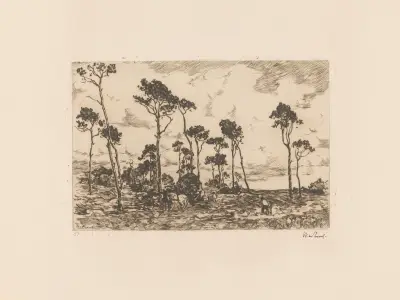 Dunga výmladků, 1896 – Nr. 2, Willem de Zwart