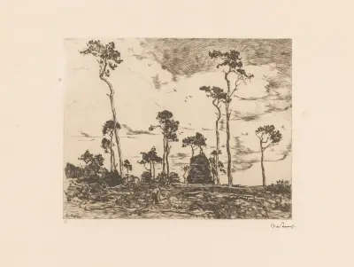 Hakhout laden, 1896 – nr 1 av Willem de Zwart