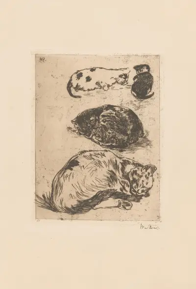 Studie van katten av Willem de Zwart