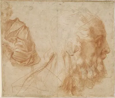 Sheet of studies with a youth and the head of an old man looking to the right av Andrea del Sarto