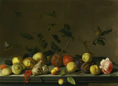 A Still Life Of Fruit And Shells With A Rose And Various Insects Upon A Stone Ledge av Balthasar van der Ast