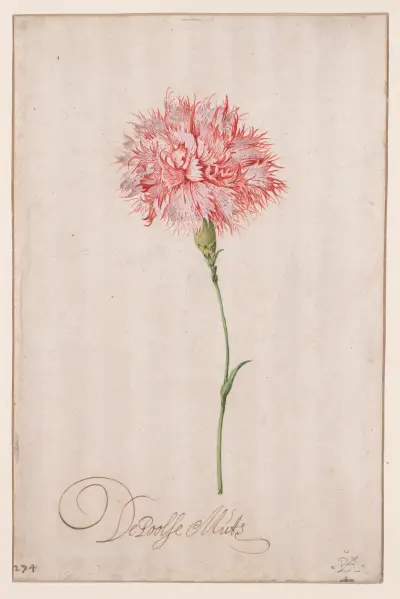 De Poolse Muts av Balthasar van der Ast