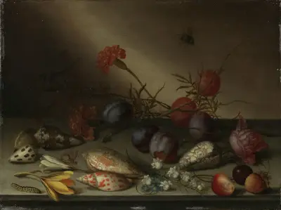 Still Life with Shells, Fruit, and Flowers av Balthasar van der Ast