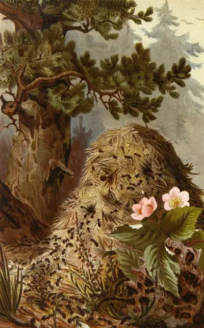 Die Insekten, Tausendfüssler und Spinnen Pl 09 av Alfred Edmund Brehm