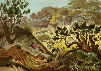 Die Insekten, Tausendfüssler und Spinnen Pl 16 av Alfred Edmund Brehm