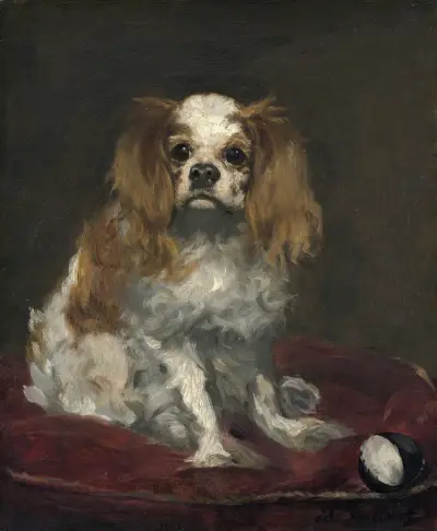A King Charles Spaniel av Édouard Manet