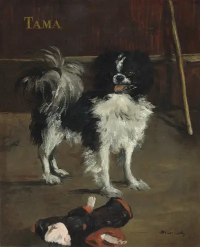 Tama,the Japanese Dog av Édouard Manet