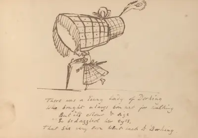 Book of nonsense Pl.12 av Edward Lear