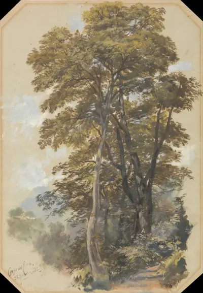Corpo di Cava, 28 June 1838 av Edward Lear