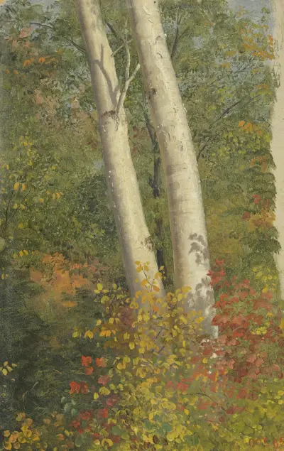 Björkar på hösten av Frederic Edwin Church