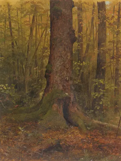 In the Woods, probably Maine av Frederic Edwin Church