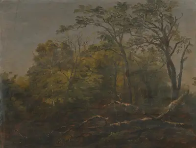 Maine Woods, Frederic Edwin Church
